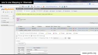 Hibernate Tutorial part 8  One to One Mapping using Annotations [upl. by Sitoiganap]