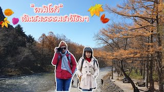 EP4 Kamikochi คามิโคจิ เดินป่าเบาๆชมธรรมชาติ TakayamaKamikochiShirakawagoGero OnsenNagoya [upl. by Joyan]