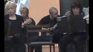 Metallica  Nothing Else Matters played by mandolin [upl. by Nylecoj]