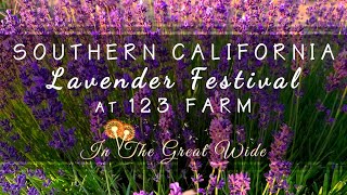 Lavender Festival Day Trip from Los Angeles to 123 Farm [upl. by Vincelette]