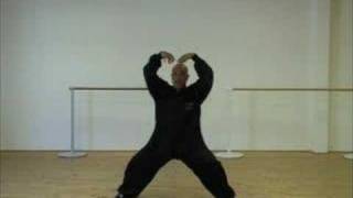 Howard CHOY Luohan Qigong 18 paumes de Bouddha [upl. by Haleehs]