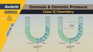 12C02  Solutions Osmosis amp Osmotic Pressure  Solutions  CBSEIIT JEE  Class 12 Chemistry [upl. by Orelee366]