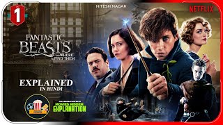 Fantastic Beasts 1 2016 Explained In Hindi  Hiteshnagarexplainer  MoviesHiddenExplanation [upl. by Atteloc]