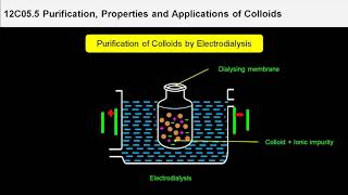 1 12C055 CV1 Purification of Colloidal solutions [upl. by Aerdnu511]