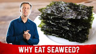 What is Seaweed – DrBerg Explains Roasted Seaweed Benefits [upl. by Yortal]