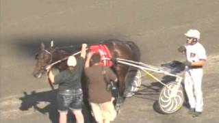 2013 Hambletonian Final  theharnessedgecom [upl. by Aushoj]