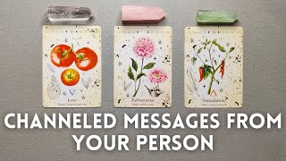 💌 CHANNELED MESSAGES FROM YOUR PERSON ❤️‍🔥🌹 Pick A Card 🔮✨ Timeless Tarot Reading [upl. by Llevart705]