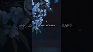 Thoomanje mayalle lyrical whatsapp statusPulkodiyil thoomani songTakeOffMalayalamSRA Creations [upl. by Worth]