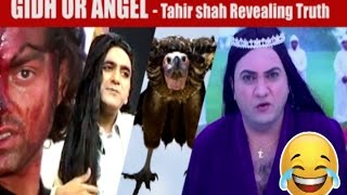 Taher Shah  Angel or Gidh  Tahir Shah Revealing the Truth  EPIC Funny [upl. by Chari]