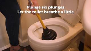 How To Fix A Clogged Toilet [upl. by Assirac]