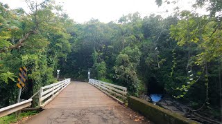 Virtual Roadtrip Old Mamalahoa Highway Scenic Route Big Island Hawaii Akaka towards Hilo [upl. by Ellerrehs]