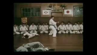 Ashihara Karate Hideyuki Ashihara HL [upl. by Atterrol]