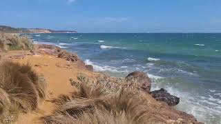 A glimpse of Sandringham Beach Melbourne [upl. by Yadnus]