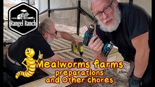 Mealworms farms preparations and Other chores [upl. by Sternlight]