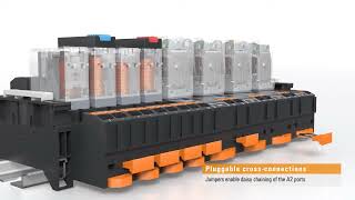 Fast wiring of relays – PUSH IN sockets for DSERIES DRI and DRM relays [upl. by Lanahtan]