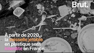 Voilà ce qui remplacera la vaisselle en plastique interdite en 2020 [upl. by Aliza244]