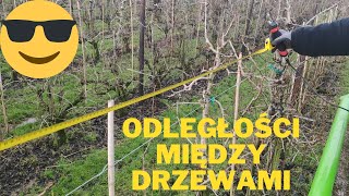 Holandia pracaodległości między starymi drzewami [upl. by Nibaj]