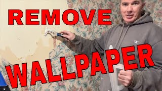 Remove Wallpaper Easily Without Any Chemicals [upl. by Jochebed]