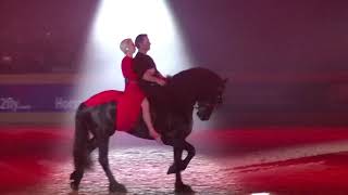 Gerke Friesian Proms 2019 [upl. by Bogart301]