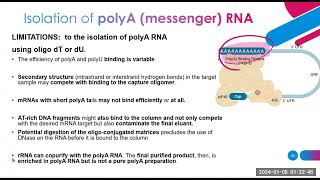 nucleic acid extraction methods part 2 [upl. by Garfinkel583]