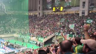 Ambiance déjantée au Panathinaikos vs Olympiakos [upl. by Welcher82]