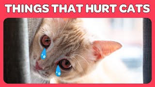 14 Things You Do That Hurt Your Cat You Must Stop Doing [upl. by Hennessy]