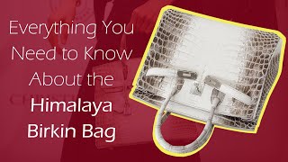 Himalaya Birkin Bag Everything You Need to Know About it [upl. by Dot29]