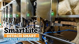 SmartLite Smarter Detaching  RampE Dairy Farm Wisconsin English [upl. by Rosenblatt]