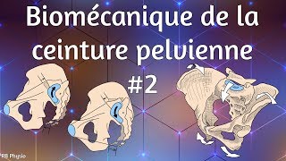 Biomécanique de la ceinture pelvienne 2  Nutation amp Contrenutation [upl. by Amend]