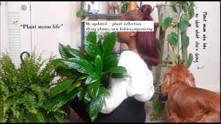 Houseplant Tour Updated 2024  plants in my small apartment 🌿 Diaries a struggling plant mom [upl. by Akimihs]