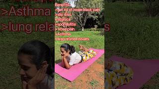 Part 2 Therapeutic Yoga for lower back pain slip disc sciatica spondylitis asthma knee pain [upl. by Aihtenak]