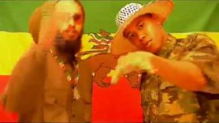 Paille amp Straïka  Un Lion Ne Meurt Pas  Clip Officiel [upl. by Tenrag]