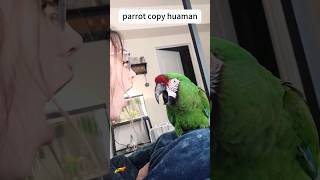 Parrot copy human [upl. by Ainesell]