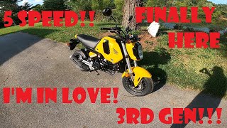 2022 Honda Grom First Impressions Review Yellow and Black 3RD Gen [upl. by Barram563]