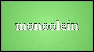 Monoolein Meaning [upl. by Ailssa652]