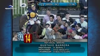 St Leger 2010  Pedroso  Gustavo Barrera [upl. by Pegasus]