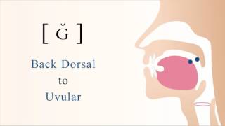 ɢ̆  ʀ̆  voiced dorsal uvular tap [upl. by Lumbye42]