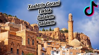 ‎‏diyarbekir yoluna  لەڕێگای دیاربەکر xoshtrin gorani TikTok [upl. by Lombard]