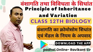 वंशागति का क्रोमोसोम सिधांत एवं मेंडल के नियम के अपवाद वंशागति तथा विविधता के सिधांत 12th Biology [upl. by Derek937]