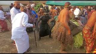 Cameroon Roads Untraveled Bakweri Elephant Dance 2 [upl. by Atims]