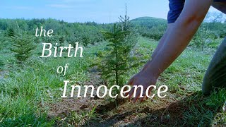 Birth of Innocence TRAILER  Transform Ourselves Into Greater Expressions Of Life [upl. by Liagiba]