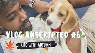 Life with Autumn  Dog Vlog  Vlog Unscripted 6 [upl. by Palermo555]