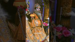 ho ke Shyam ki deewani Radha Rani nache2024  8  November [upl. by Kast913]