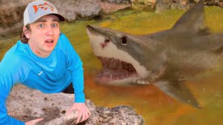 I Found a Pond Infested with Sharks [upl. by Quinton802]