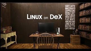 Linux on Dex에서 무엇이 되고 무엇이 안 되나요 하드웨어 패키지 게임 구동 확인 [upl. by Sehguh]