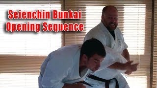 Practical Kata Bunkai Seienchin Seiyunchin Opening Sequence [upl. by Kehr]