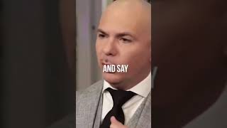 Pitbull Explains Paper Chase [upl. by Martz423]