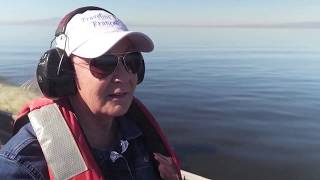 Exploring the Salton Sea and Areas Nearby on Traveling With Francoise [upl. by Barbee]