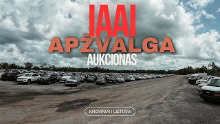 IAAI Aukcionas WPB  Grizo klientu masinos i MIAMI terminala [upl. by Ivz]