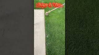 Edging lawn grass satisfying edge fun chickensandwich lawncare peanut chickennuggets [upl. by Nwahsiek]